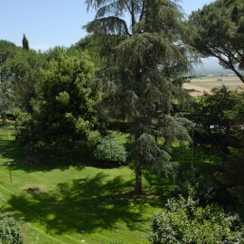 La struttura 11